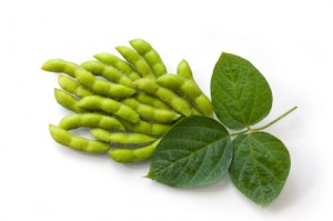 Can Soy Help to Prevent Osteoporosis?