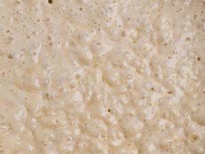 yeasty dough forming bubbles