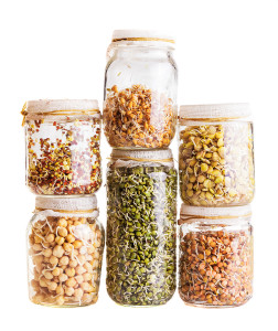 6 glass jars containing a variety of Sprouted Whole Grains (SWG)