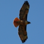 Profile picture of 