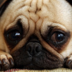 Profile picture of 
