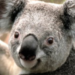 Profile picture of NickR15