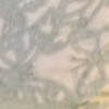 Profile picture of pennyrumary