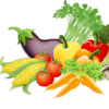 Group logo of Vegetarian Meals
